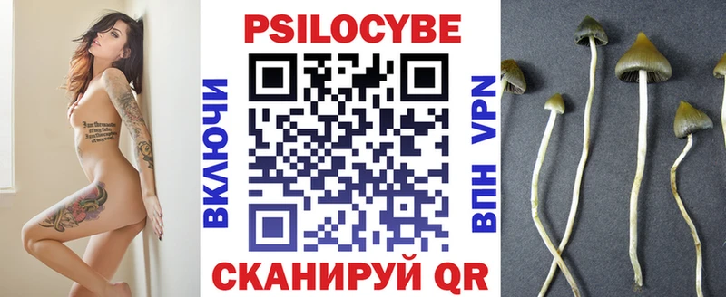 shop состав  Иннополис  Галлюциногенные грибы Psilocybine cubensis 